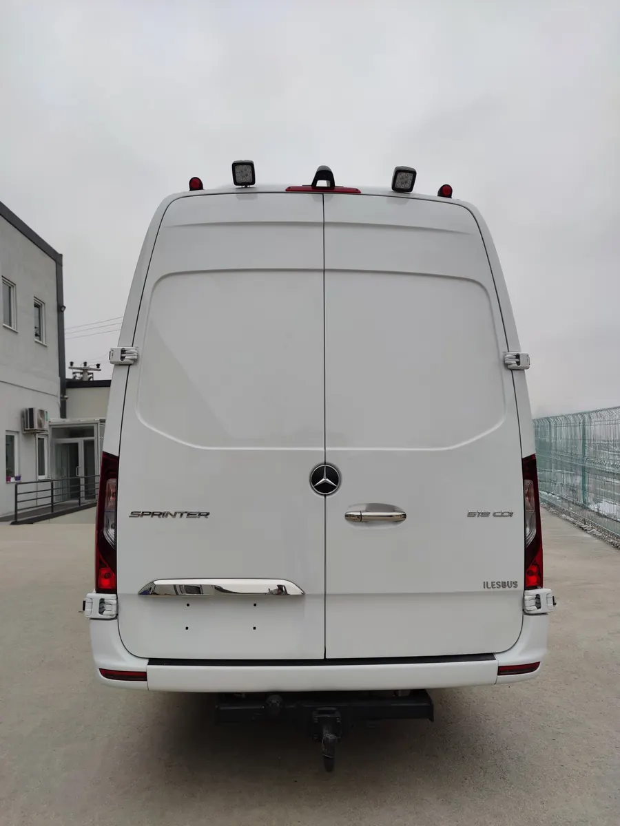 Renaissance vehicle, view 4 of 19