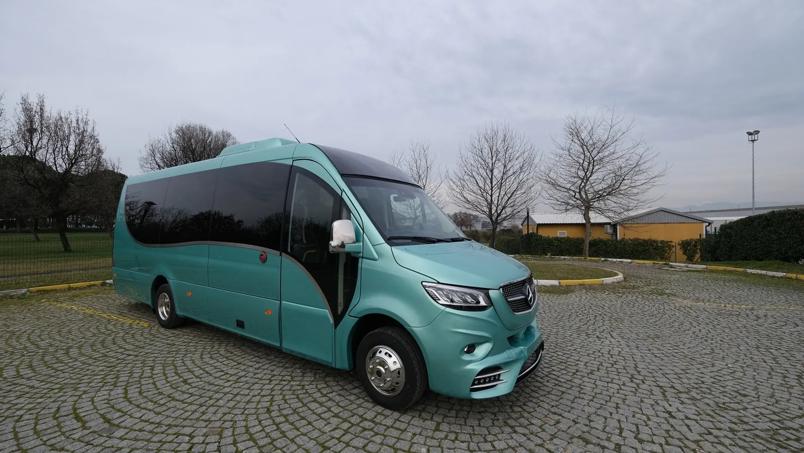 Renaissance vehicle, view 11 of 19